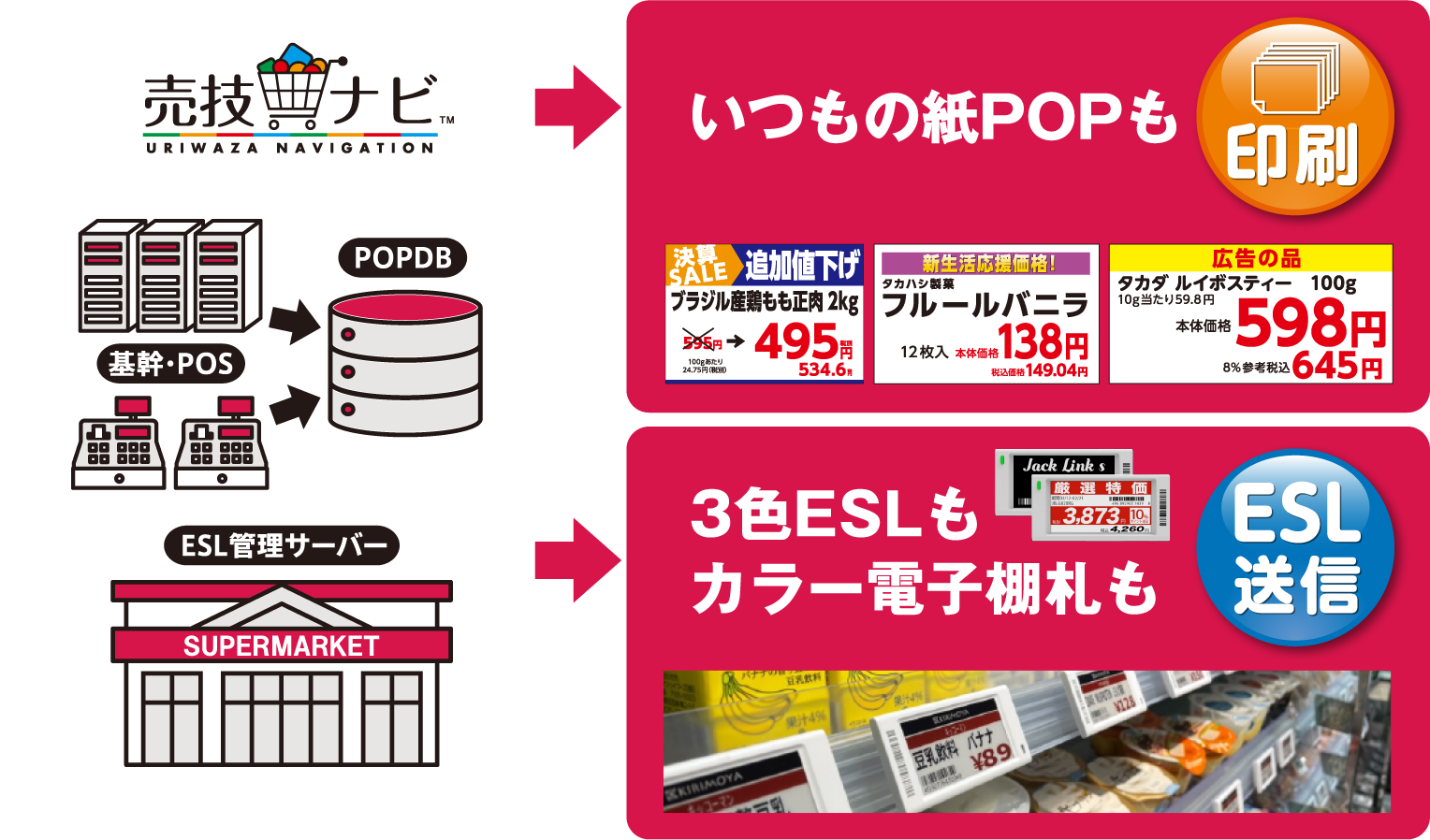 いつもの紙POPも3色ESLもカラー電子棚札も